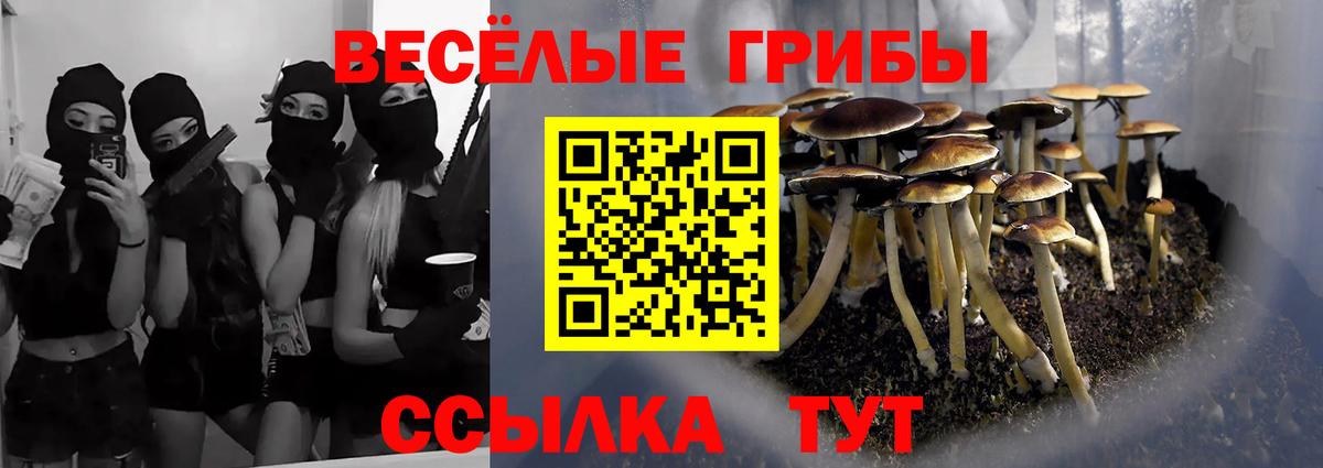 Галлюциногенные грибы MAGIC MUSHROOMS Электрогорск