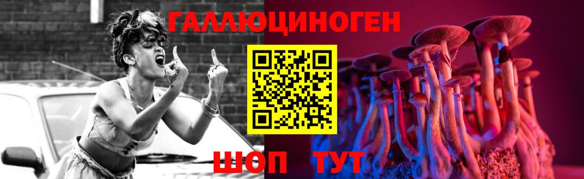 Галлюциногенные грибы Psilocybe  Вход с VPN  Электрогорск 